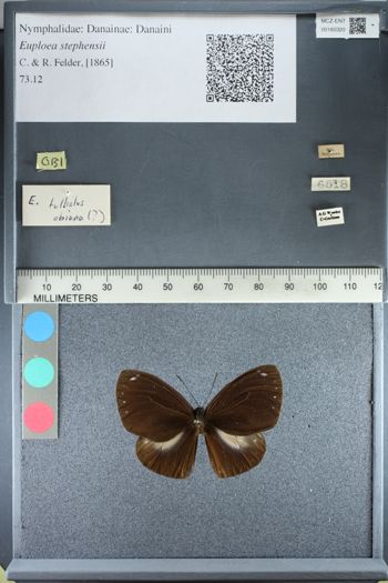 Media type: image;   Entomology 160320
